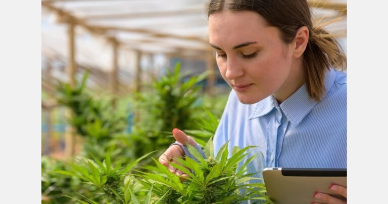 AI-powered cannabis genetics platform with predictive breeding technology launches