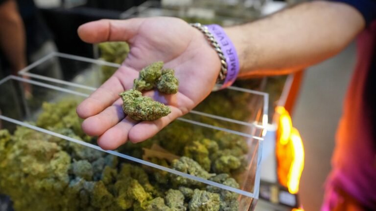 Cannabis bill gets lost in Christmas season – NBC Boston