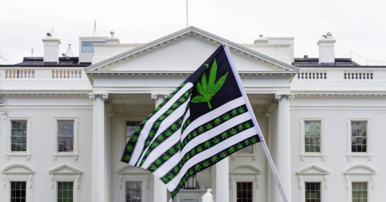 Federal marijuana reclassification could yield tax benefits for Maine's cannabis industry