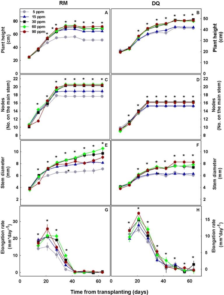 Frontiers | The Highs and Lows of P Supply in Medical Cannabis: Effects on Cannabinoids, the Ionome, and Morpho-Physiology Frontiers | The Highs and Lows of P Supply in Medical Cannabis: Effects on Cannabinoids, the Ionome, and Morpho-Physiology