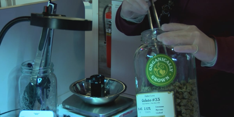 Higher Love Cannabis Co. lays off 61 employees in response to 24 percent tax