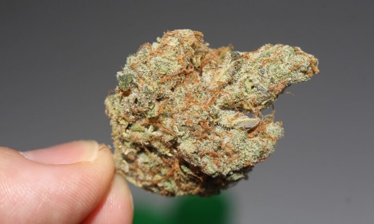 Lawmakers react to Trump's big cannabis news (Newsletter: December 15, 2025)