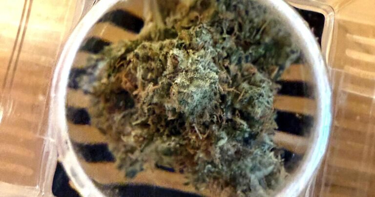 Lawsuits fracture Cambridge cannabis business