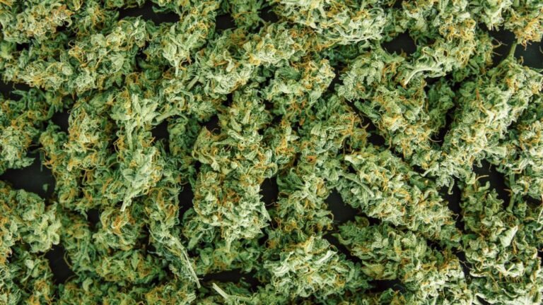 Local veterans hope federal move to reclassify marijuana will impact Indiana's approach to medicinal use