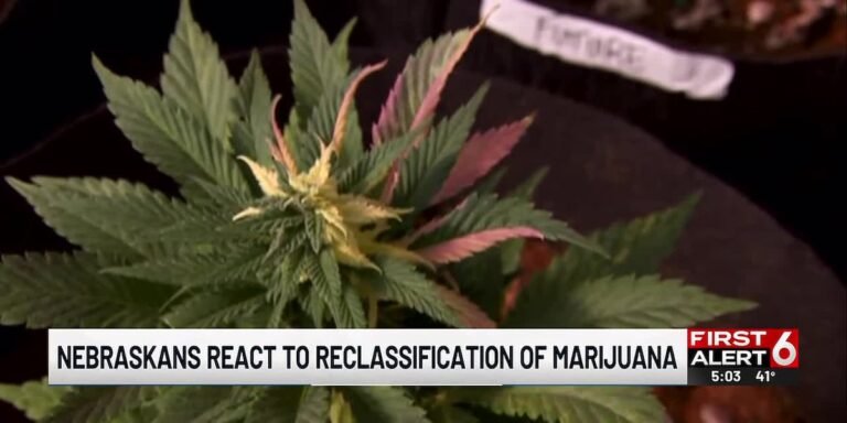 Marijuana reclassification order divides Nebraska leaders, advocates