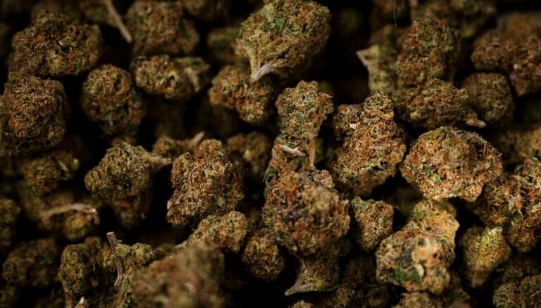 OPINION: Why Trump's cannabis rescheduling can't come soon enough OPINION: Why Trump's cannabis rescheduling can't come soon enough