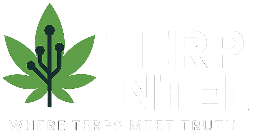 terpintel.com