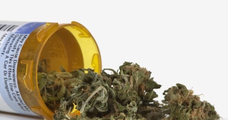 Trump ‘very strongly’ considering loosening federal marijuana regulations | Local News