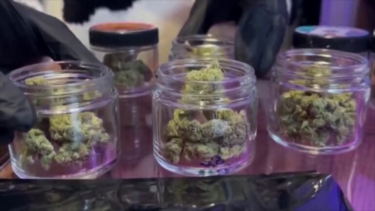 Video Trump signs order easing marijuana restrictions stream logo