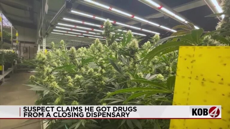 What happens to leftover cannabis when a dispensary shuts down in Albuquerque?