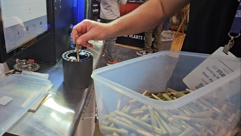 Cannabis Sales Expected To Break Records With Social Consumption In Mass.