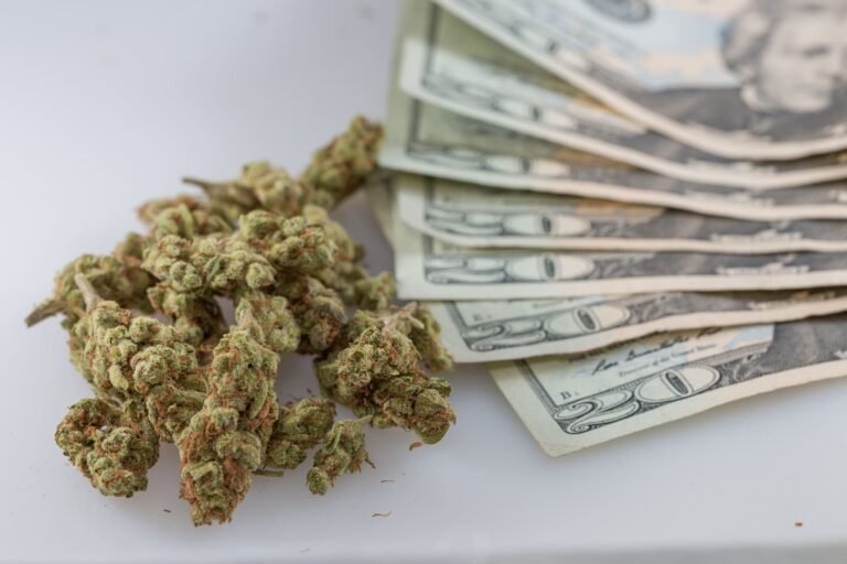 'Dark Money' Anti-Marijuana Group Is Bankrolling Ballot Measures To Roll Back Legalization In Multiple States, Records Show