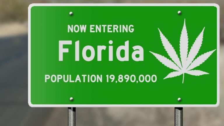 Florida Senator Introduces New Bill To Legalize Recreational Marijuana