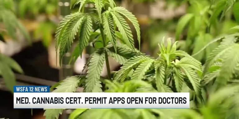 Medical cannabis certification permit apps open for doctors