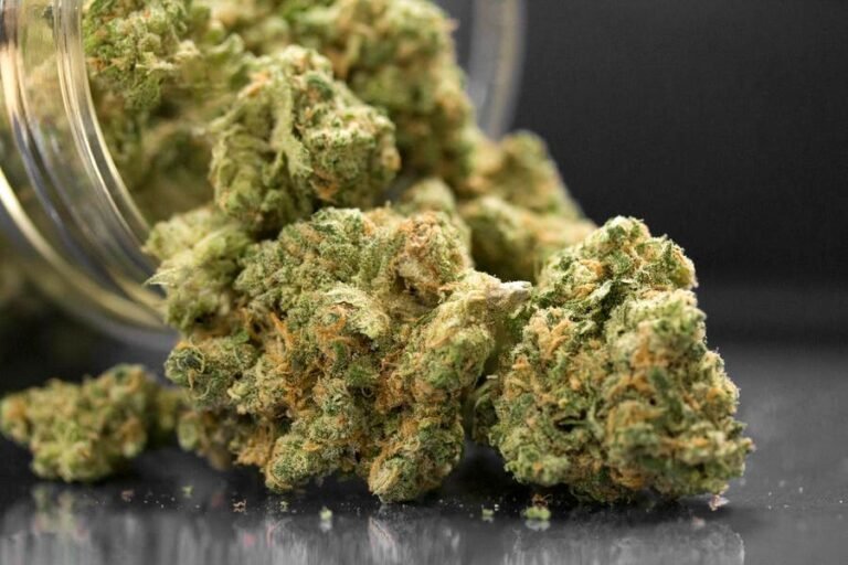 New Hampshire House Advances Cannabis Legalization Bill HB 186