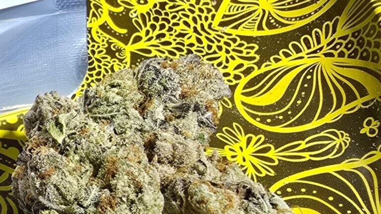 Recreational marijuana may be on Florida's ballot again