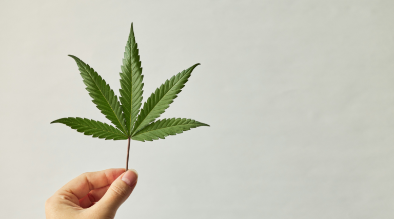 The Future of Cannabis in California: Delivery, Vapes, and THCA The Future of Cannabis in California: Delivery, Vapes, and THCA