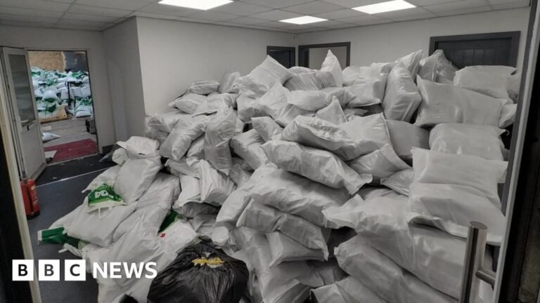Two charged over £24m Bolton cannabis haul