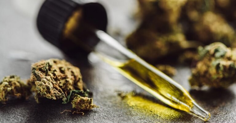 Unlocking Cannabis Origins for New Medical Discoveries