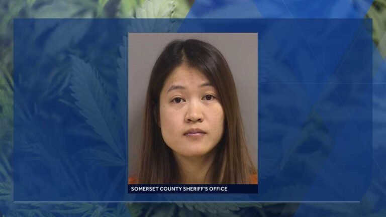 Woman admits running illegal marijuana operation in Maine Woman admits running illegal marijuana operation in Maine