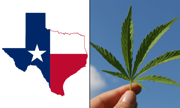 Bipartisan Texas Lawmakers Want Hemp THC Regulated Instead Of Banned, With GOP Rep Saying Market Is 'Too Big To Ignore'