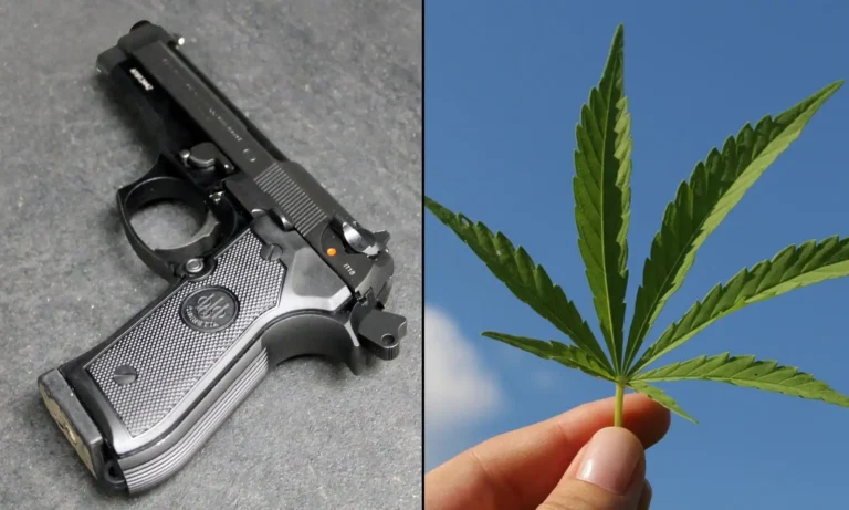 DOJ Suggests 'Frail And Elderly Grandmother' Who Uses Medical Marijuana Could Own Gun—While Defending Overall Federal Ban