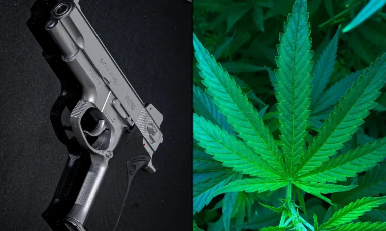 DOJ Tells Supreme Court That Federal Gun Ban For Marijuana Users Must Be Upheld—Even If Trump's Rescheduling Order Is Finalized
