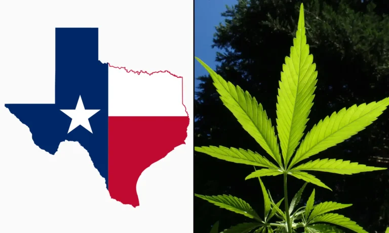 Marijuana Legalization Is On The Ballot In Texas During The Primary Election That's Happening Now