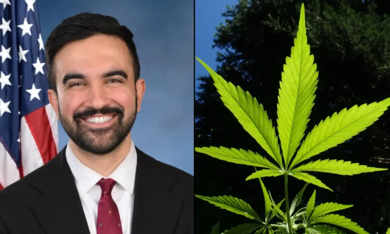 NYC Mayor Mamdani Projects Increased Marijuana Tax Revenue As New Shops Open