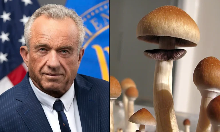 Trump Administration 'Very Anxious' To Allow Psychedelic Therapy 'As Quickly As Possible,' RFK Tells Joe Rogan