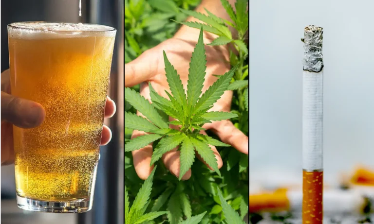 Alcohol And Tobacco Are More Damaging To Users And Society Than Marijuana Is, Government-Funded Study Concludes