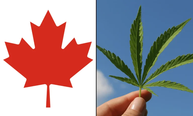 Canadian Conservative Leader Tells Joe Rogan Marijuana Should Be A 'Personal Choice,' Despite Voting Against Legalization