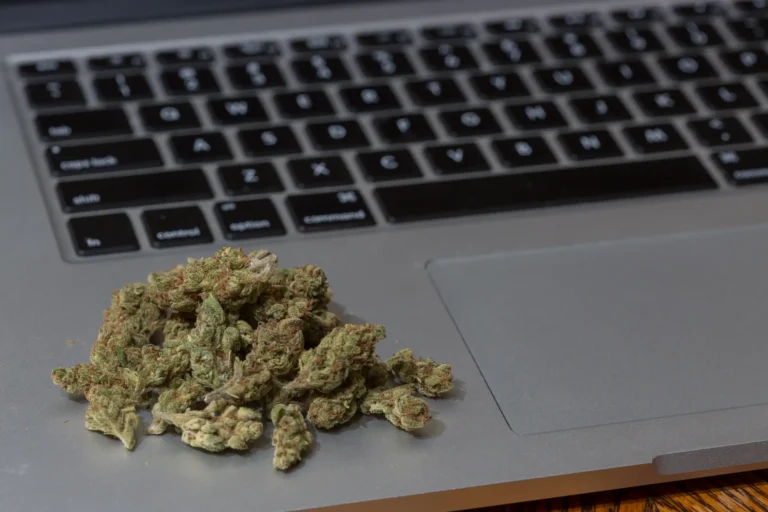 Congressional Lawmakers Approve Youth Safety Bill That Could Complicate Marijuana Businesses' Online Outreach