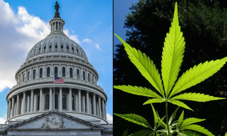 Congressional Researchers Give Update On Marijuana Rescheduling And Upcoming Hemp THC Ban