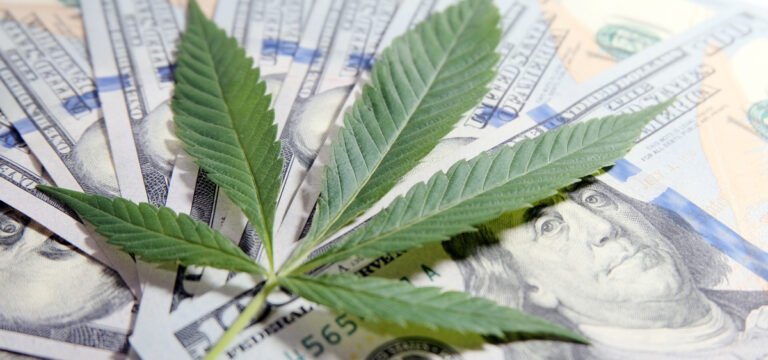 Federal Bill Would Give State-Legal Cannabis Companies Access to Banking Services