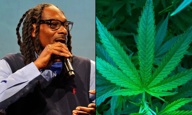 Feds Deny Snoop Dogg Request To Trademark ‘Smoke Weed Everyday’ Because Marijuana Is Illegal And Song Lyric Is Too Popular Feds Deny Snoop Dogg Request To Trademark 'Smoke Weed Everyday' Because Marijuana Is Illegal And Song Lyric Is Too Popular