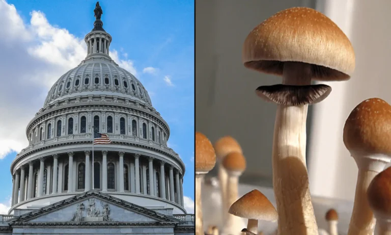 GOP Senator To File Bill Promoting Psychedelics Research And Treatment For Veterans