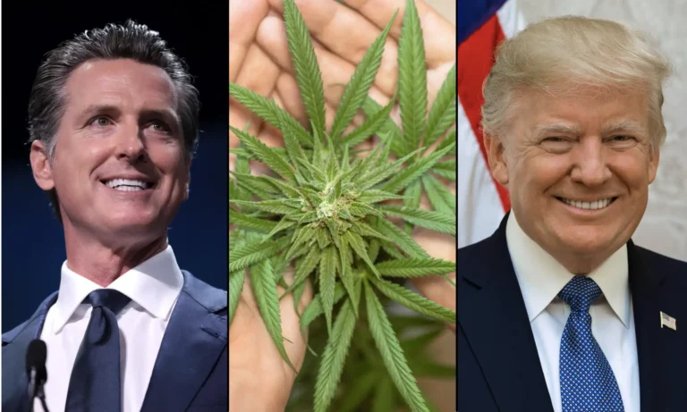 Newsom Declares That 'Cannabis Is Now Legal' After Trump Mistakenly Calls Him 'President Of The United States'