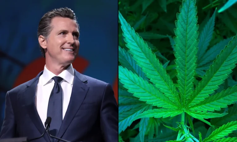 Newsom Takes Credit For Legalizing Marijuana In California And Discusses 'Complicated' Experience Smoking It At The Grand Canyon