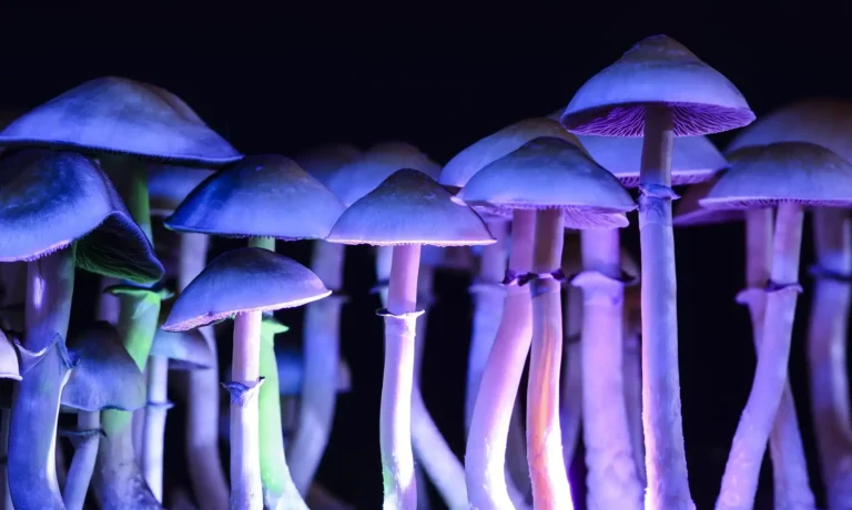 Utah Governor Signs Bill To Support Clinical Trials On Psychedelics For Veterans' Mental Health