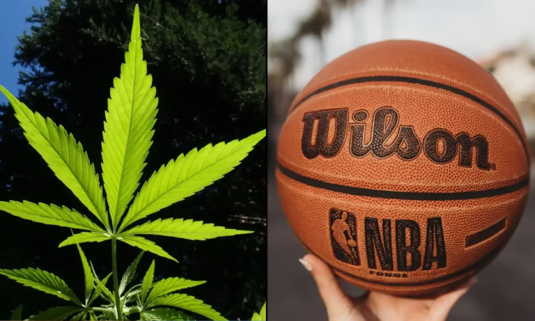WNBA Offers To End Marijuana Testing For Women's Basketball Players As Part Of Reported Deal With Union