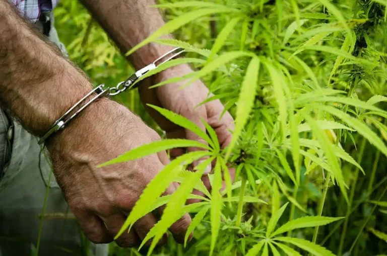 Louisiana Lawmakers Pass Bill To Send People To Jail For Smoking Marijuana Near College Campuses