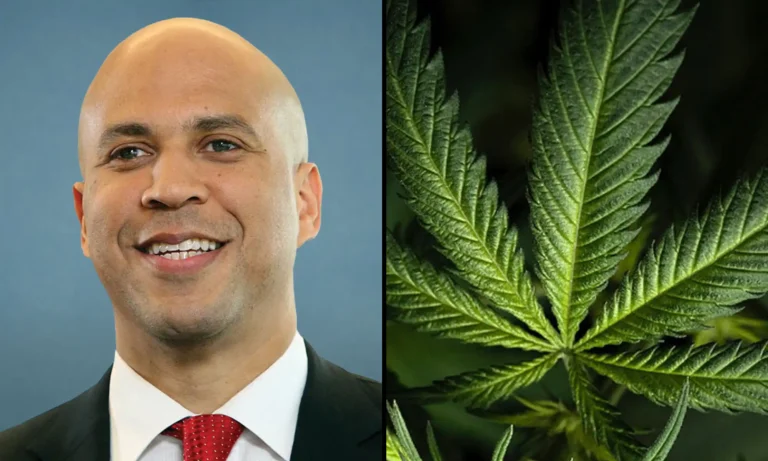 Marijuana Is Safer Than McDonald's French Fries, Cory Booker Says