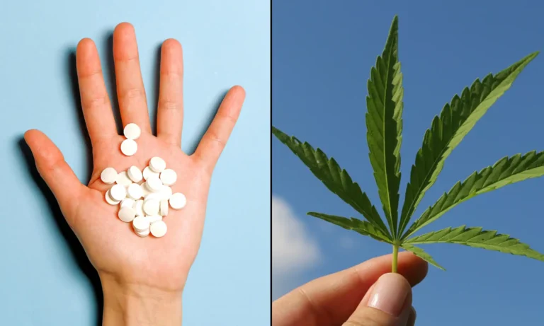 Medical Marijuana Helps People Stop Using Opioids, Sleeping Aids And Other Prescription Drugs, Study Shows