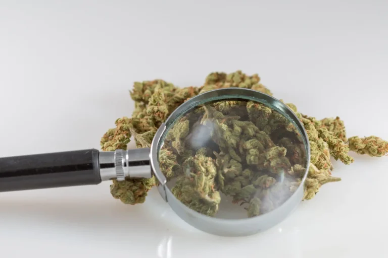 Missouri Officials File Rules To Create New Marijuana Research Licenses