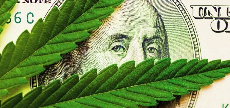 Report: Indiana Residents Spend About $2B on Cannabis Annually Despite Prohibition  
