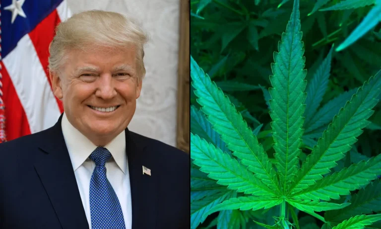 Trump Complains DOJ Is 'Slow-Walking' Marijuana Rescheduling, Four Months After He Issued An Order To Get It Done