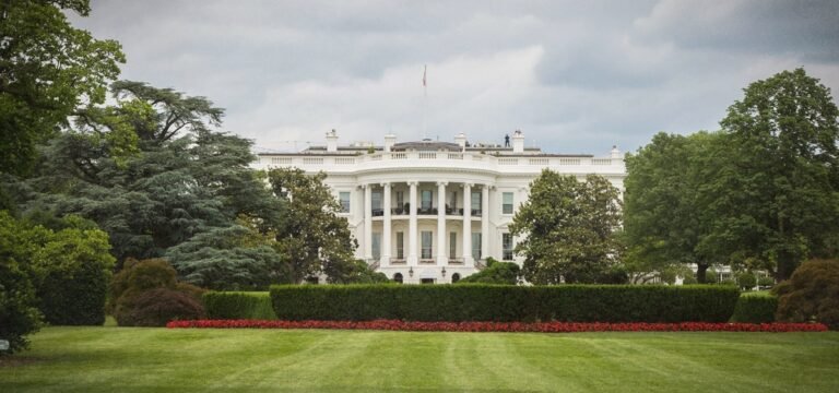 Trump Signs Executive Order Supporting State-Run Psychedelics Programs