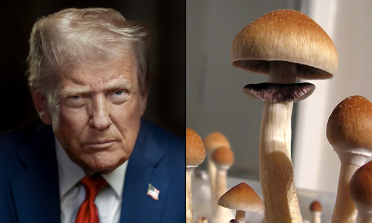 Trump Signs Order To Accelerate Legal Access To Psychedelics For Patients With Mental Health Conditions