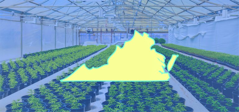 Virginia Lawmakers Reject Governor’s Amended Cannabis Sales Proposal